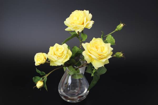 jankhope img600x400 14874003134pl2n431191